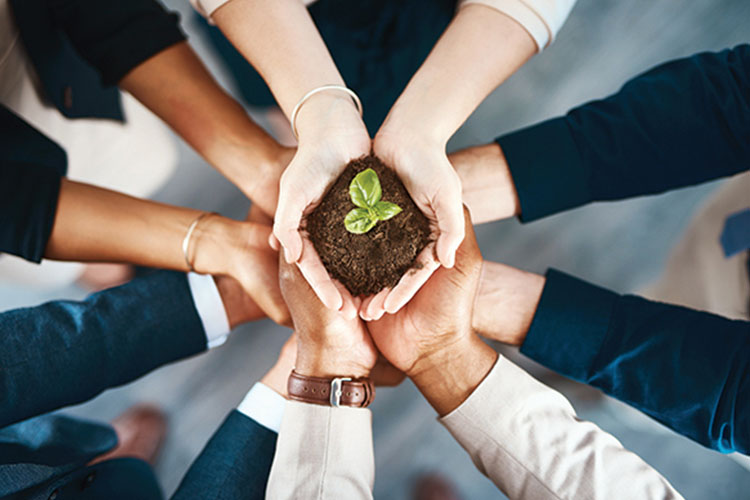 Sustainability & Ethics